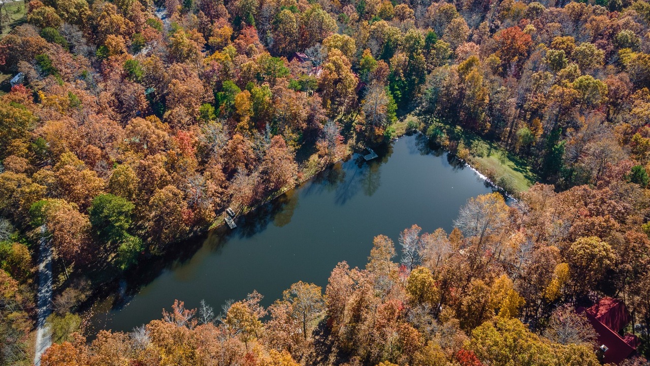 Photo of Outdoor in Mentone