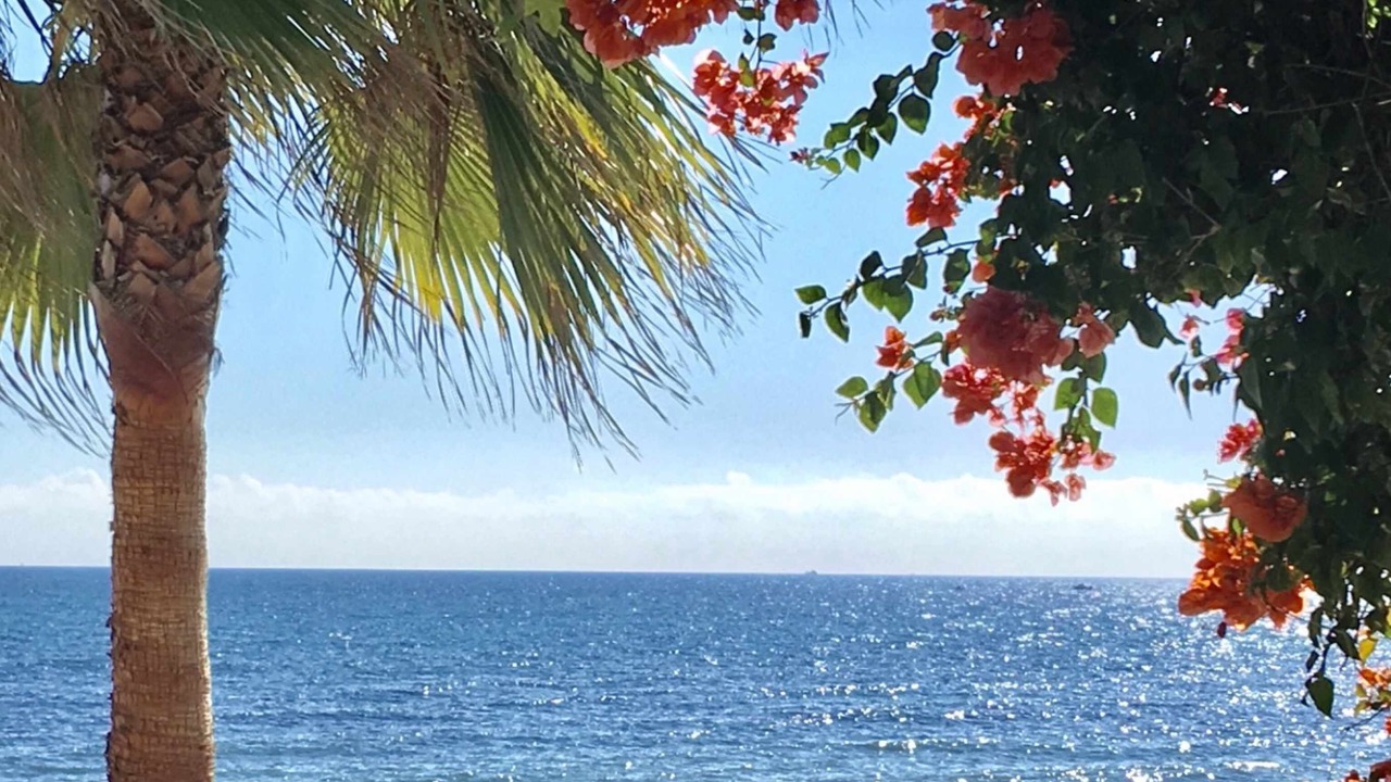 Photo of Outdoor in Sitio de Calahonda