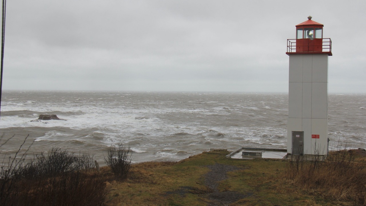 Photo of Others in Bay View