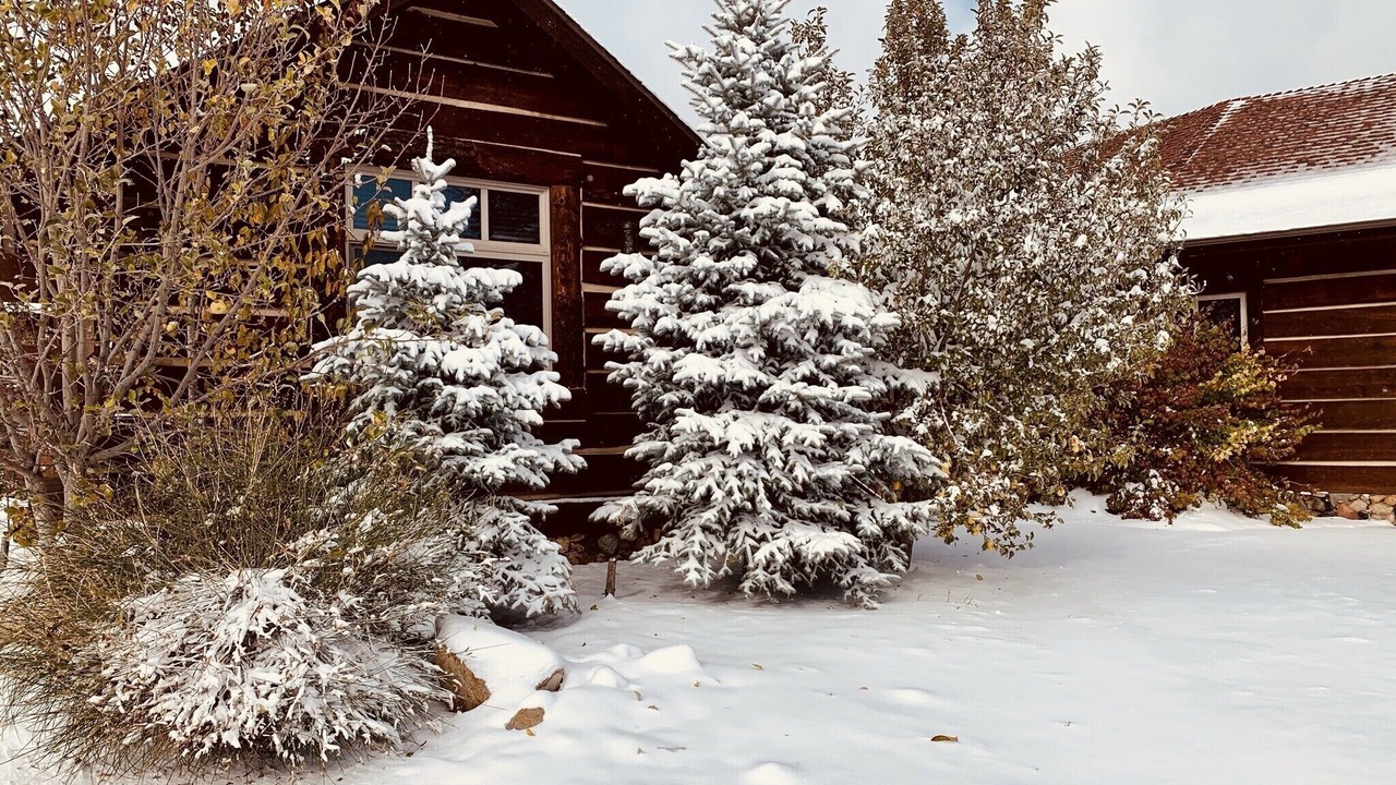 Photo of Others in Big Bear City