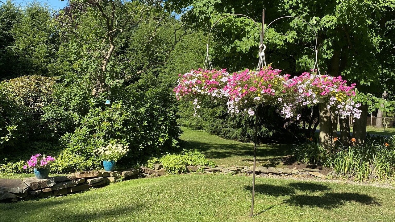 Photo of Outdoor in Bemus Point