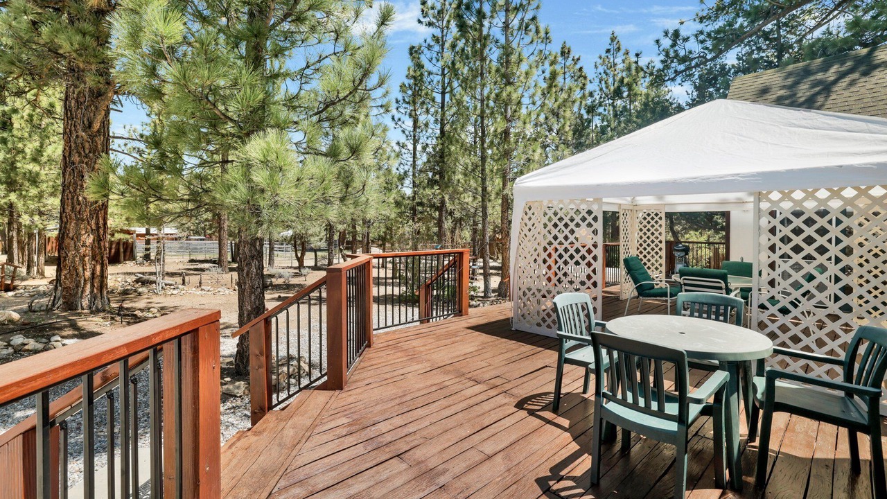 Photo of Outdoor in Woodlands