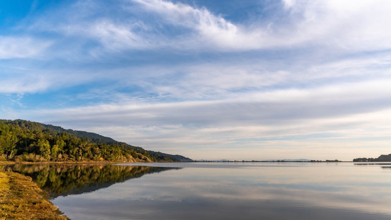 Photo of Others in Bolinas