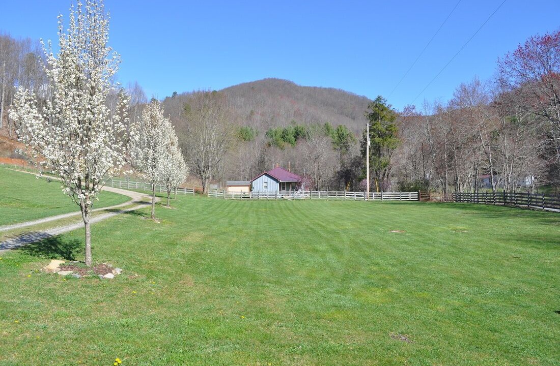 Photo of Outdoor in Wilson Creek