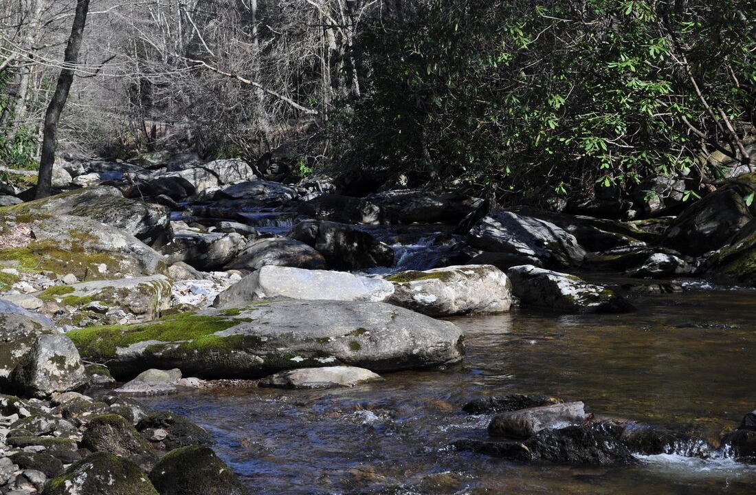 Photo of Outdoor in Wilson Creek