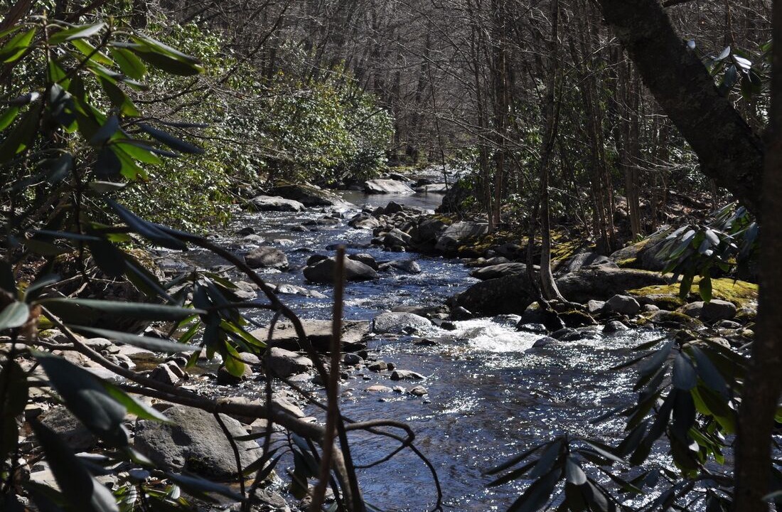 Photo of Outdoor in Wilson Creek