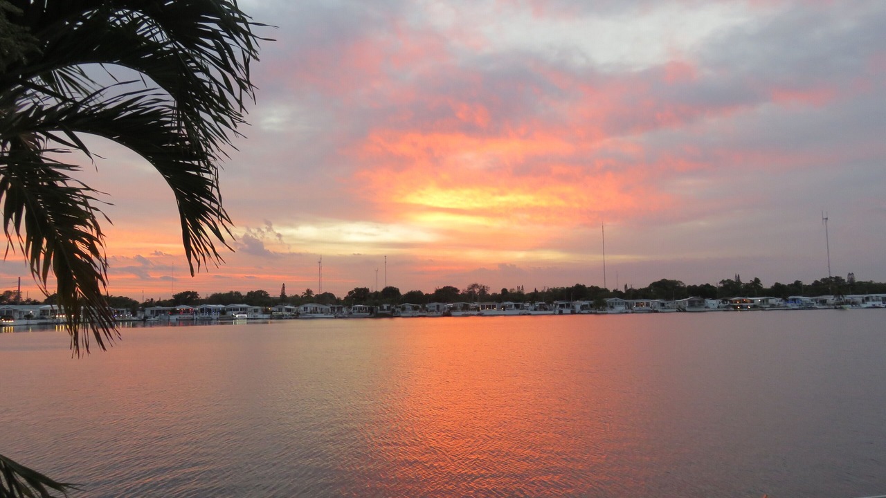 Photo of Others in Pembroke Park