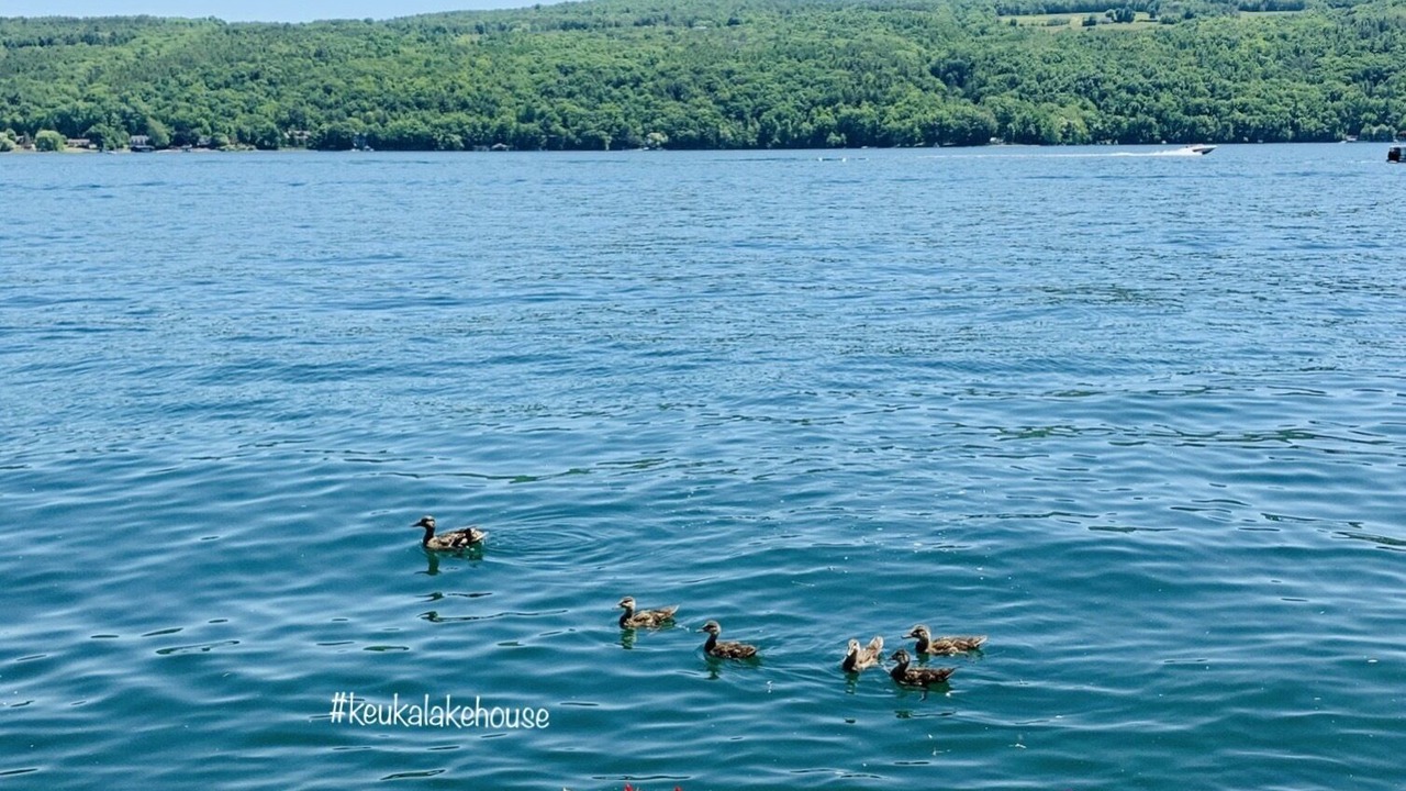 Photo of Others in Hammondsport