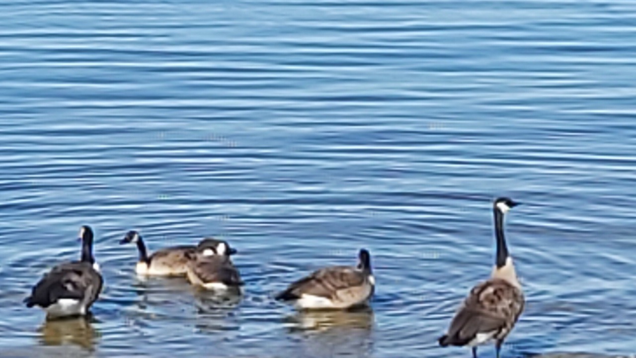 Photo of Others in Centre Wellington
