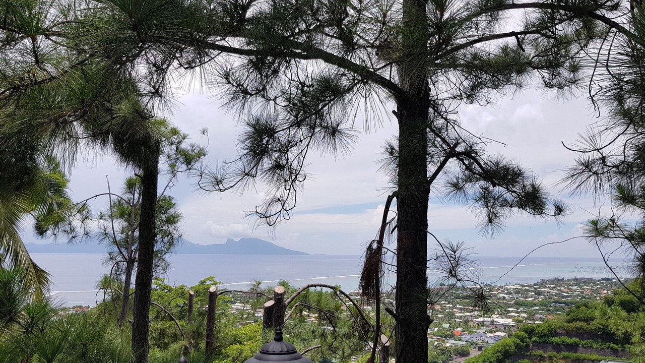 Photo of Others in Punaauia