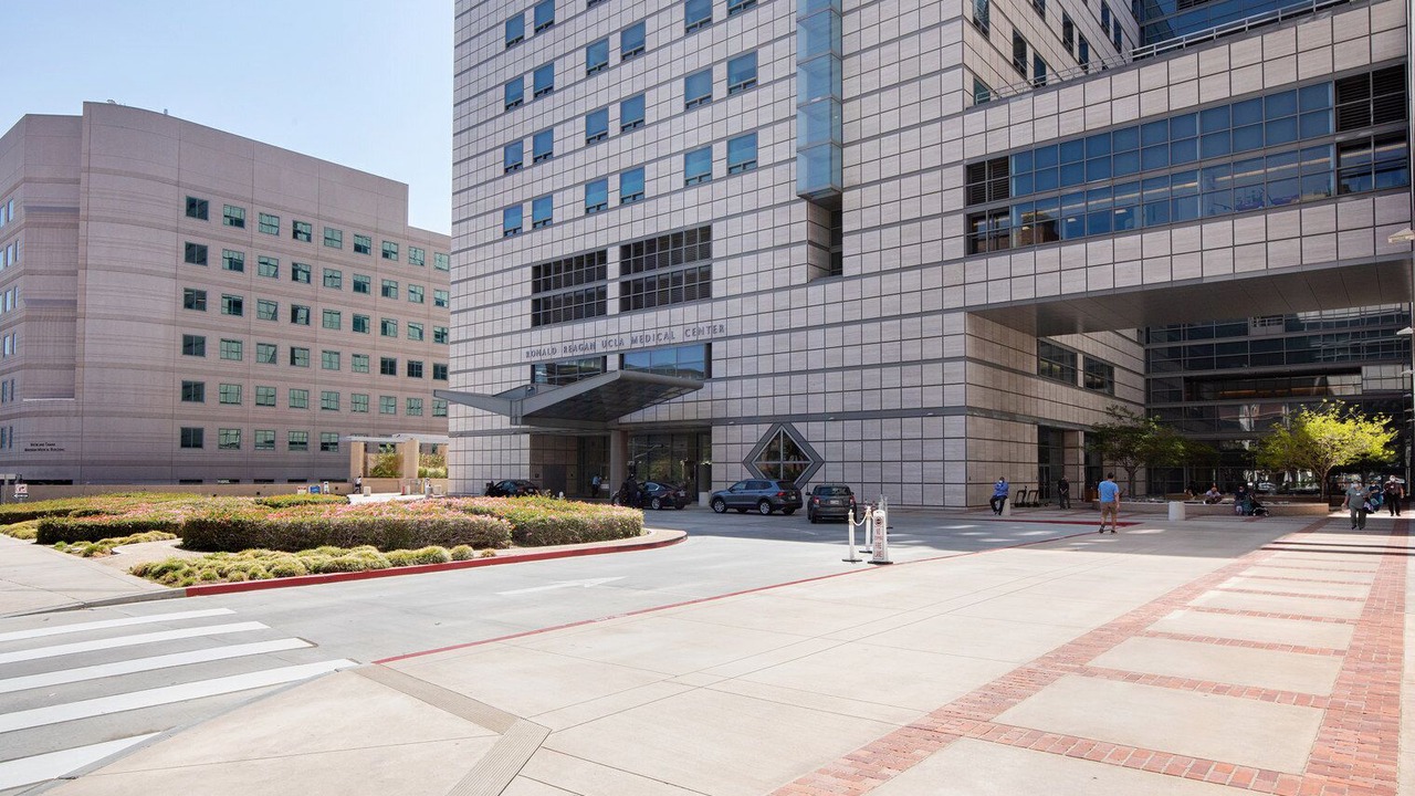 Photo of Outdoor in Westwood