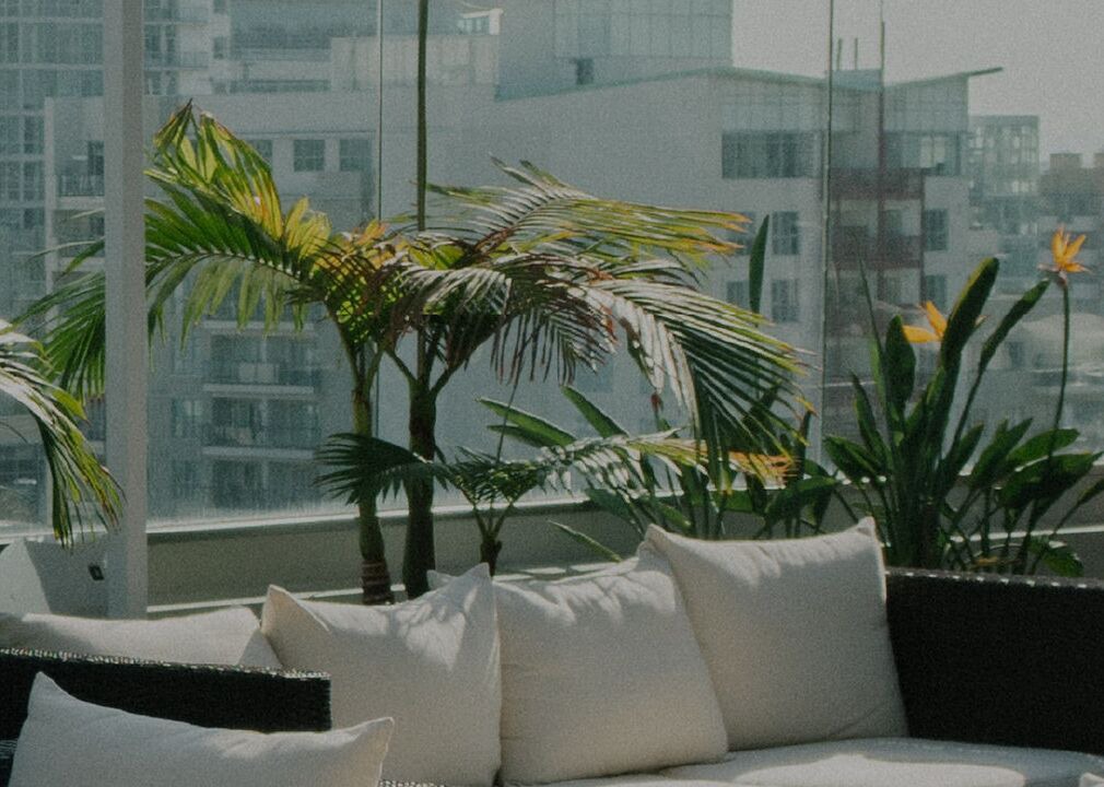 Photo of Outdoor in Palms