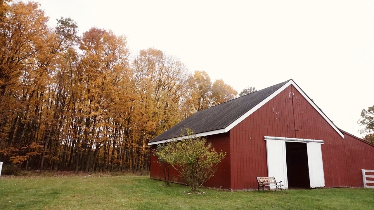 Photo of Others in Pine Bush