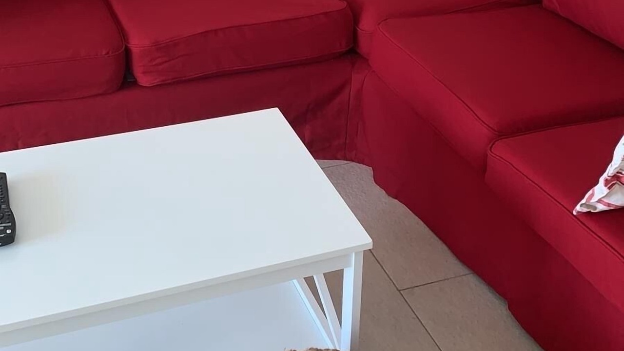 Photo of Livingroom in William's Town