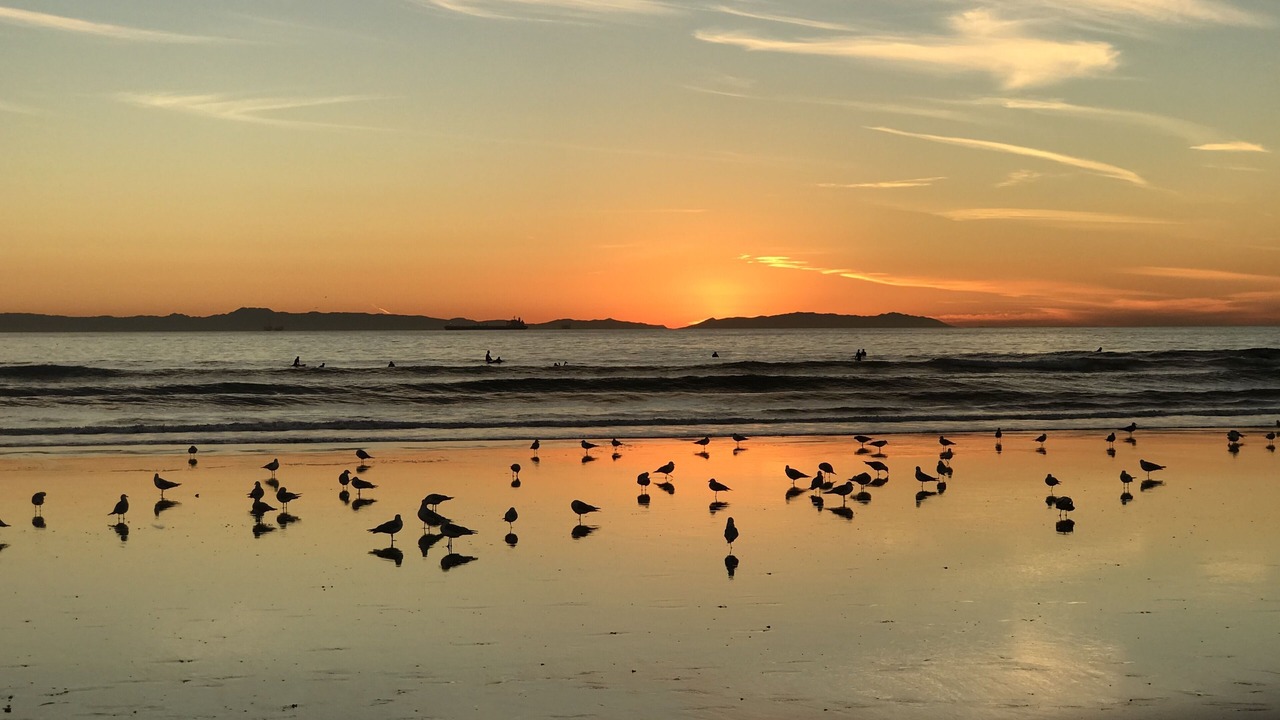 Photo of Others in Huntington Beach