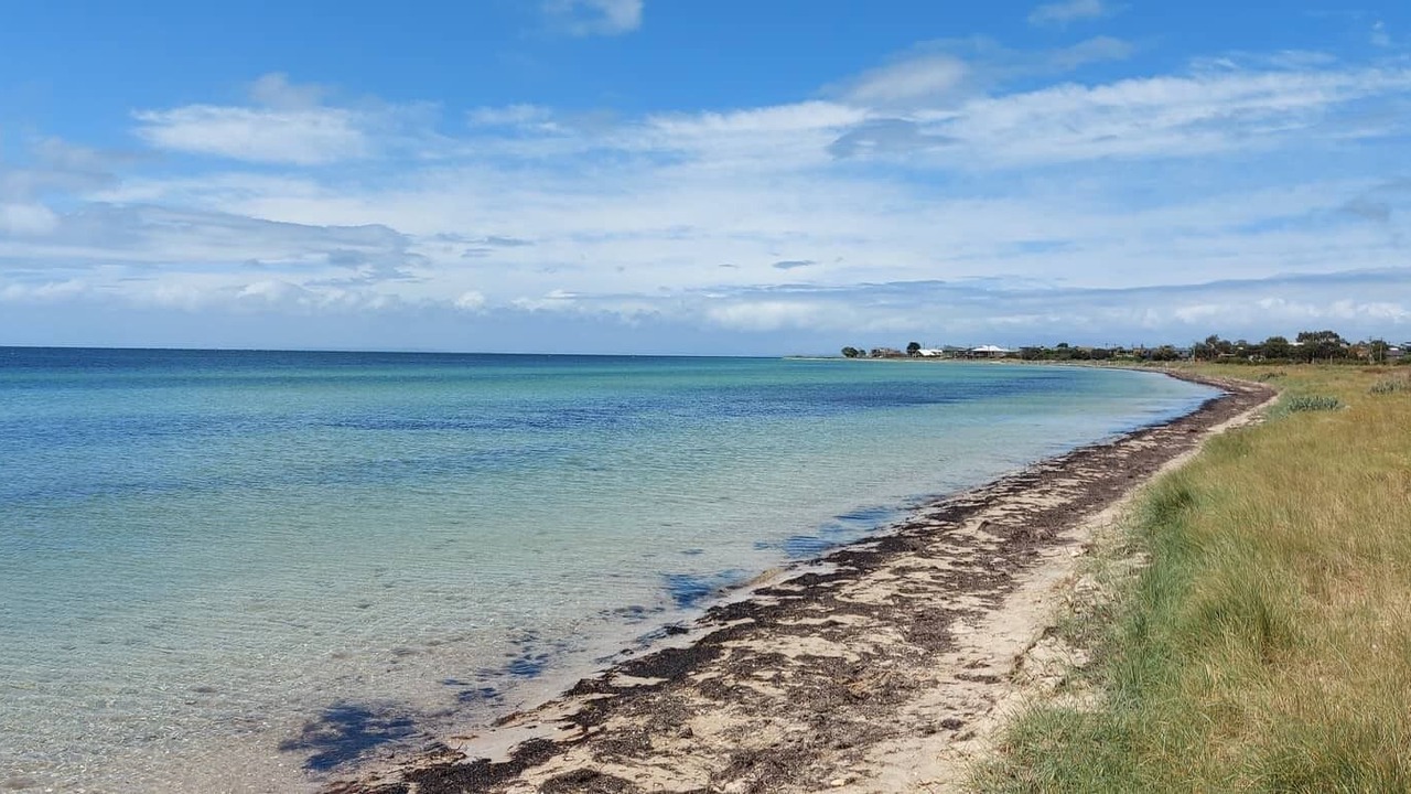 Photo of Others in Indented Head