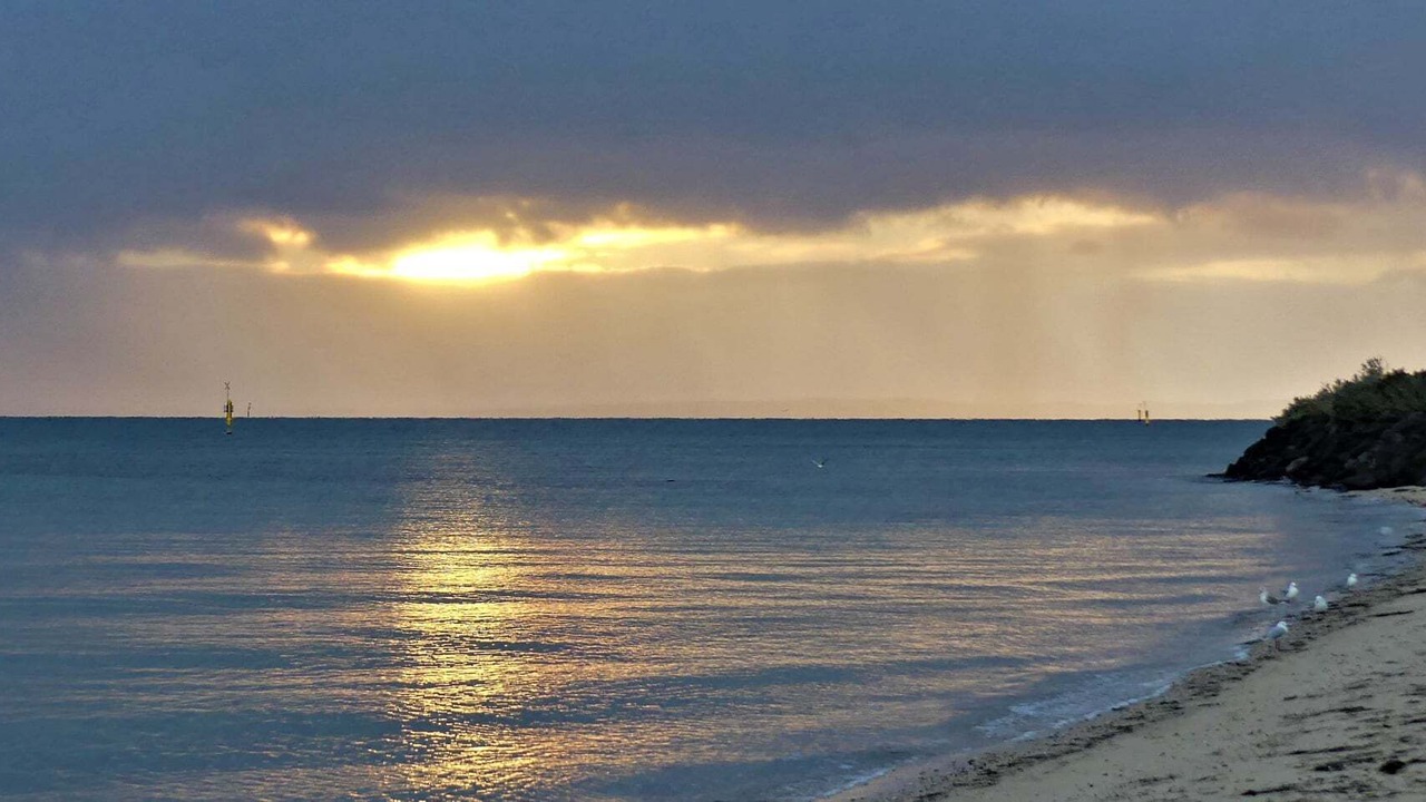 Photo of Others in Indented Head