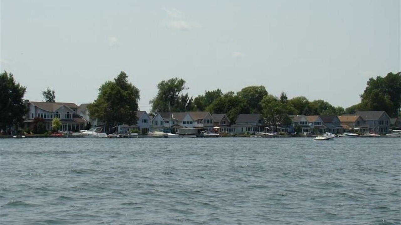 Photo of Others in North Rose