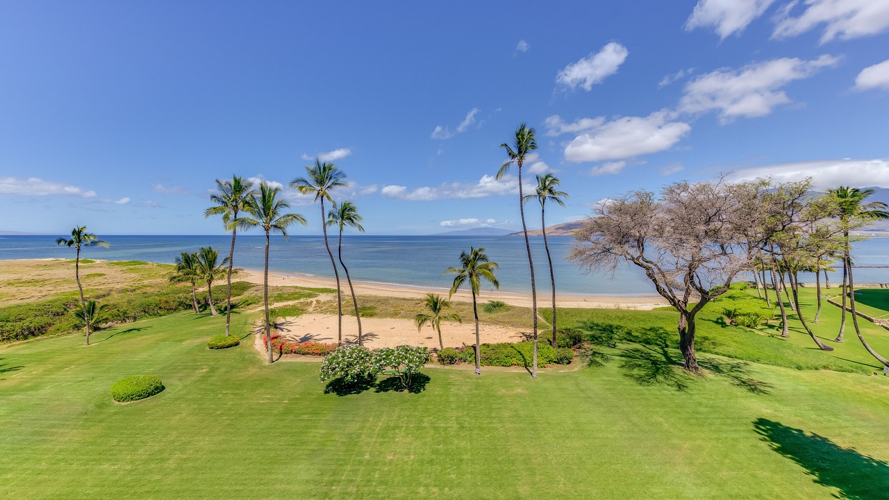 Photo of Others in Kihei