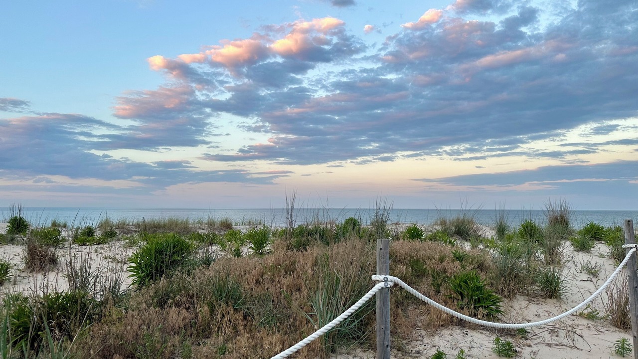 Photo of Others in Rehoboth by the Sea