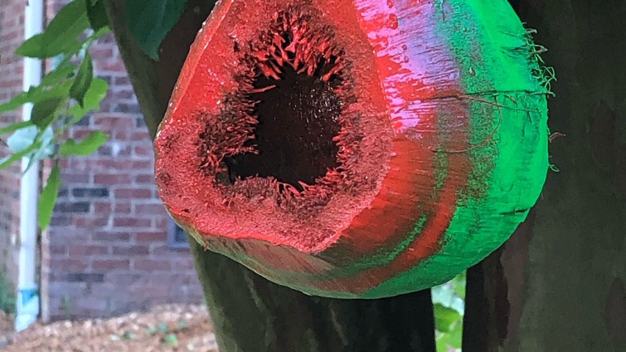 Photo of Outdoor in Charlotte