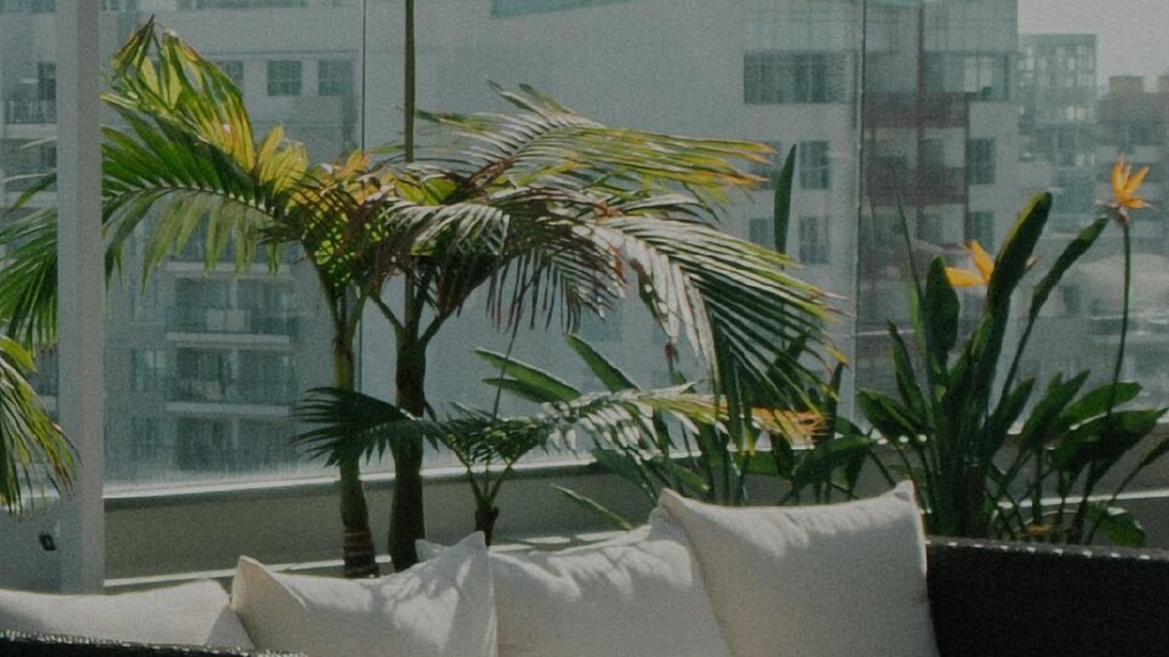 Photo of Outdoor in Downtown San Francisco