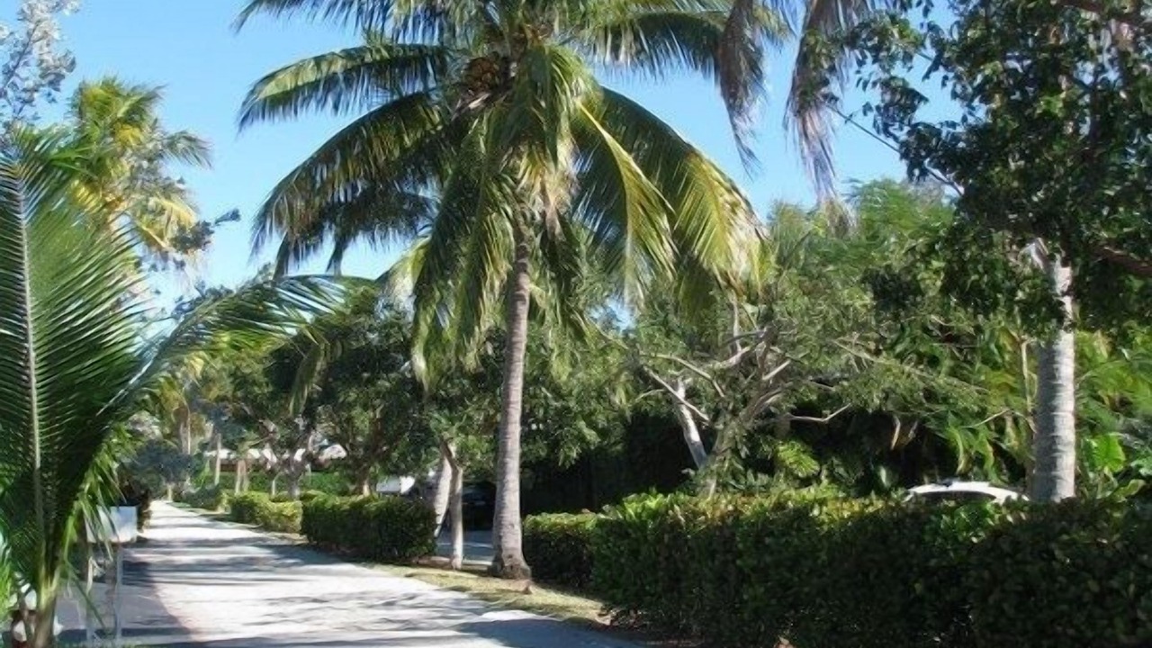 Photo of Others in Santa Barbara Estates