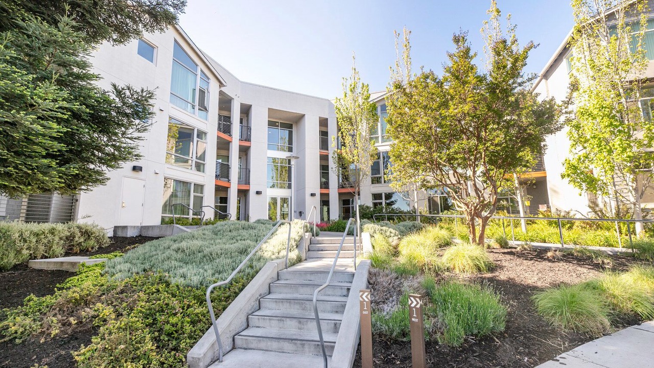 Photo of Outdoor in Mountain View