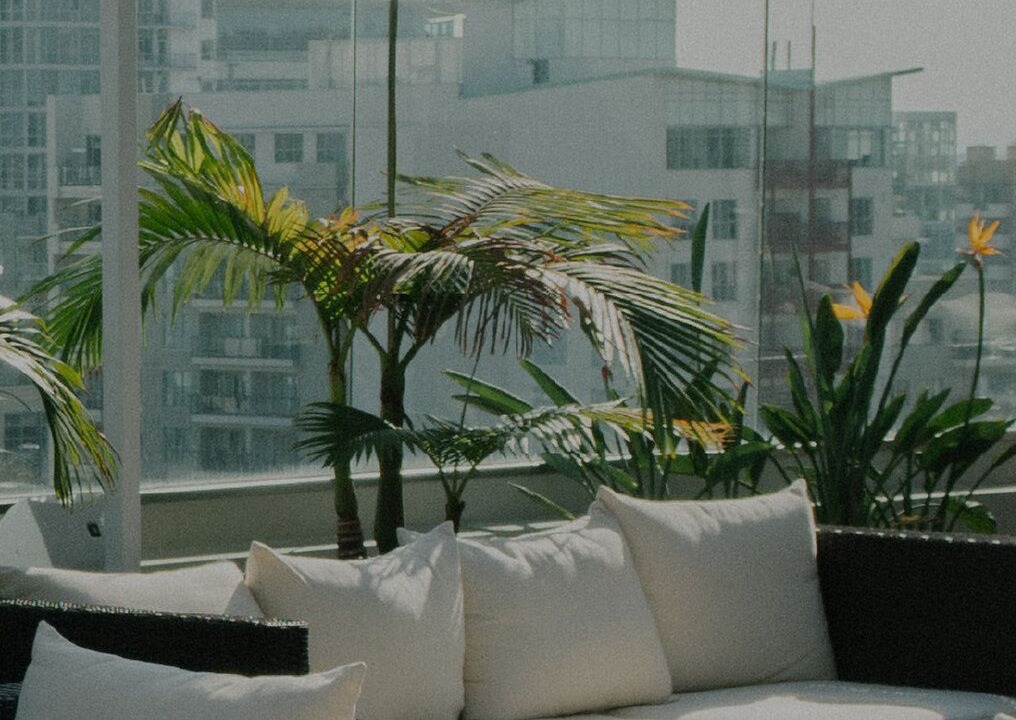 Photo of Outdoor in Westwood