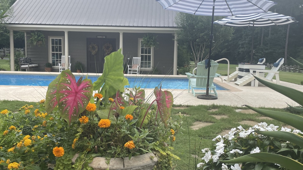 Photo of Outdoor in Ramer