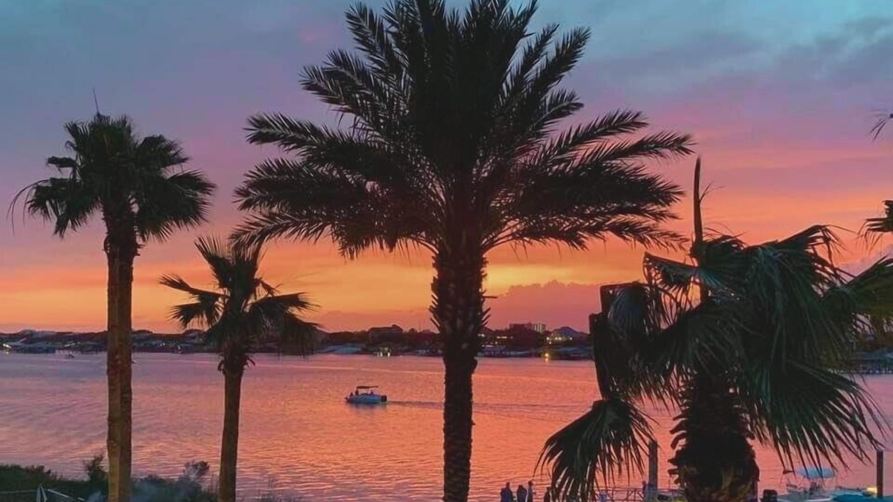 Photo of Others in Orange Beach East