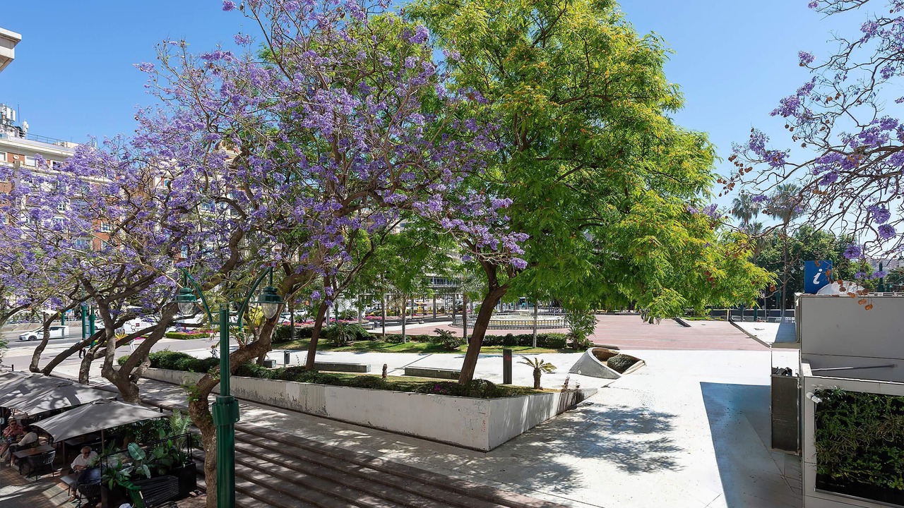 Photo of Outdoor in Ensanche Centro