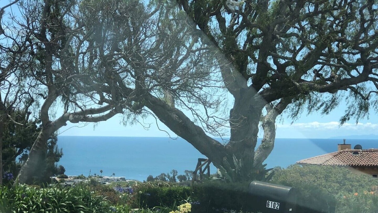 Photo of Outdoor in Central Malibu