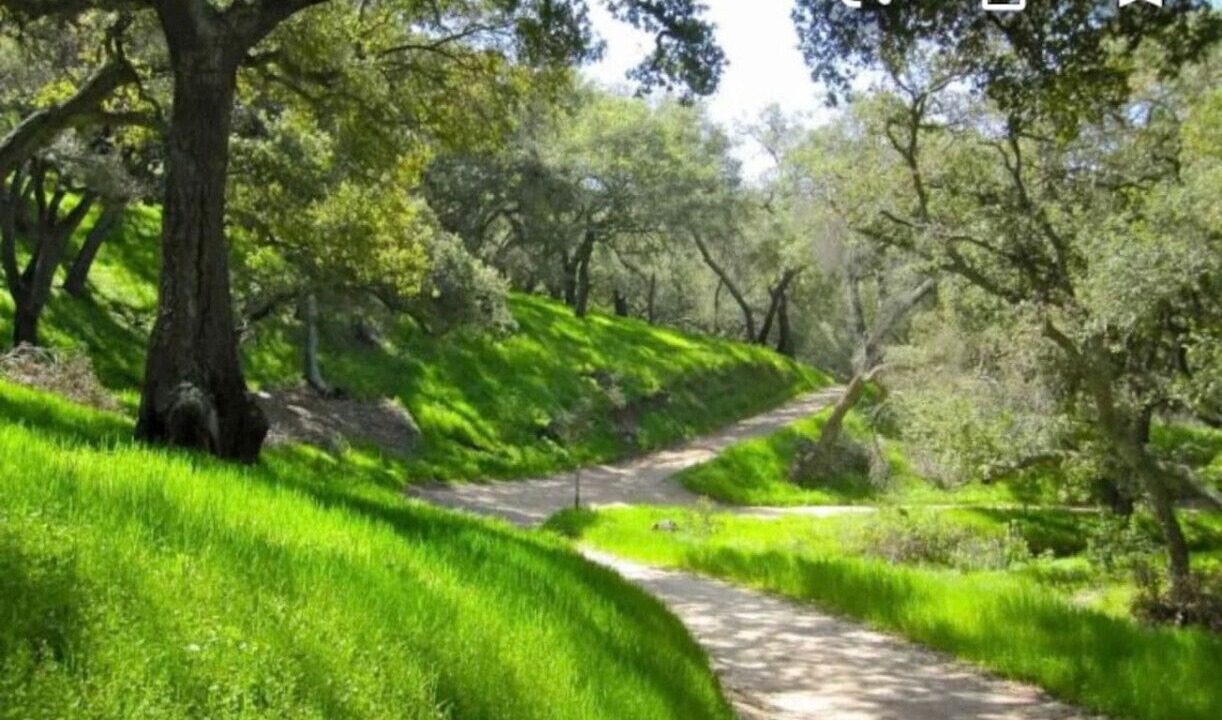 Photo of Outdoor in Mission Viejo