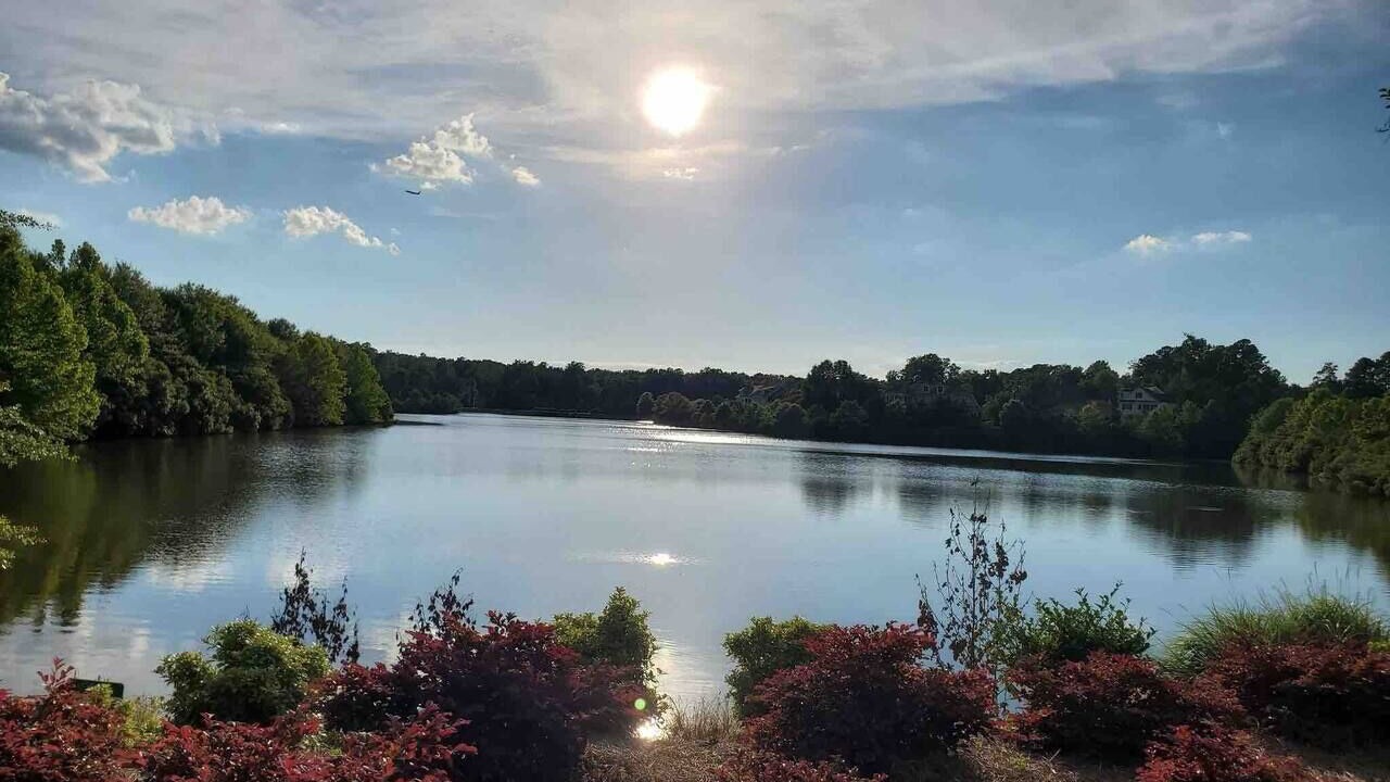 Photo of Others in Cary