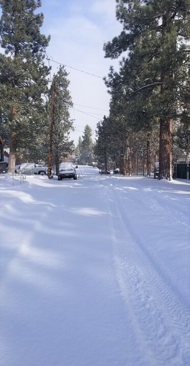 Photo of Others in Big Bear