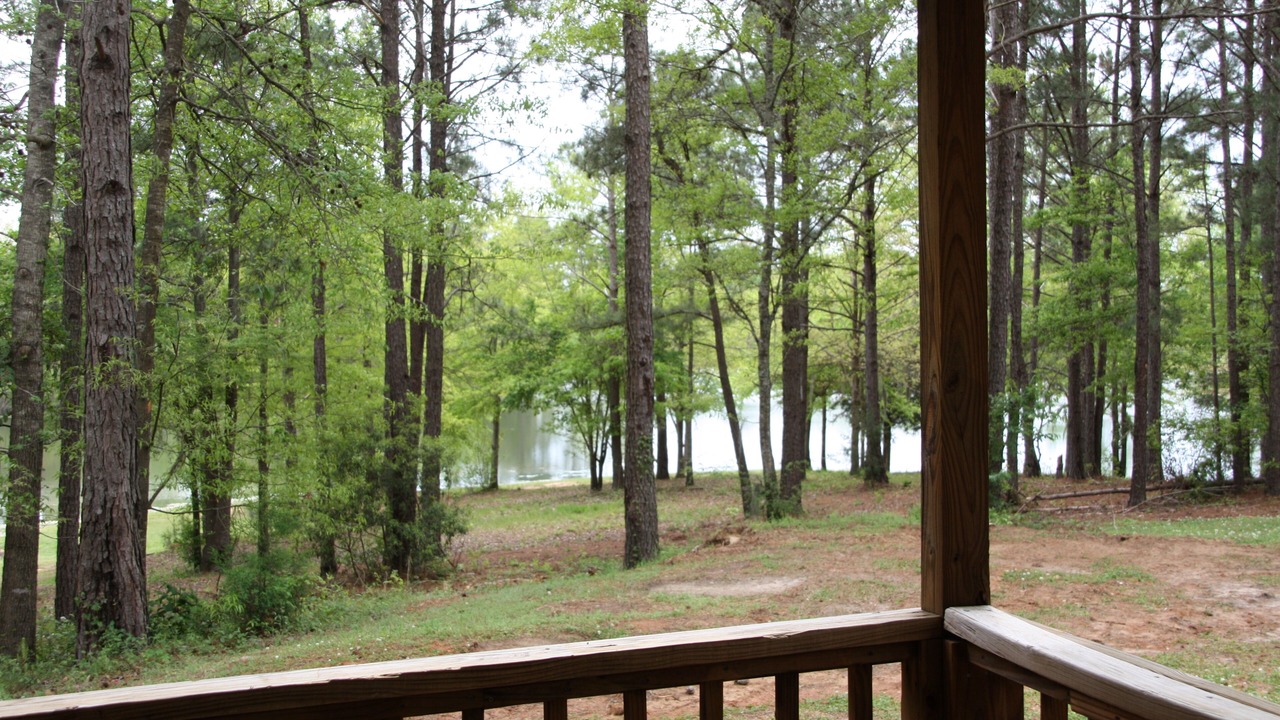 Photo of Outdoor in Ramer