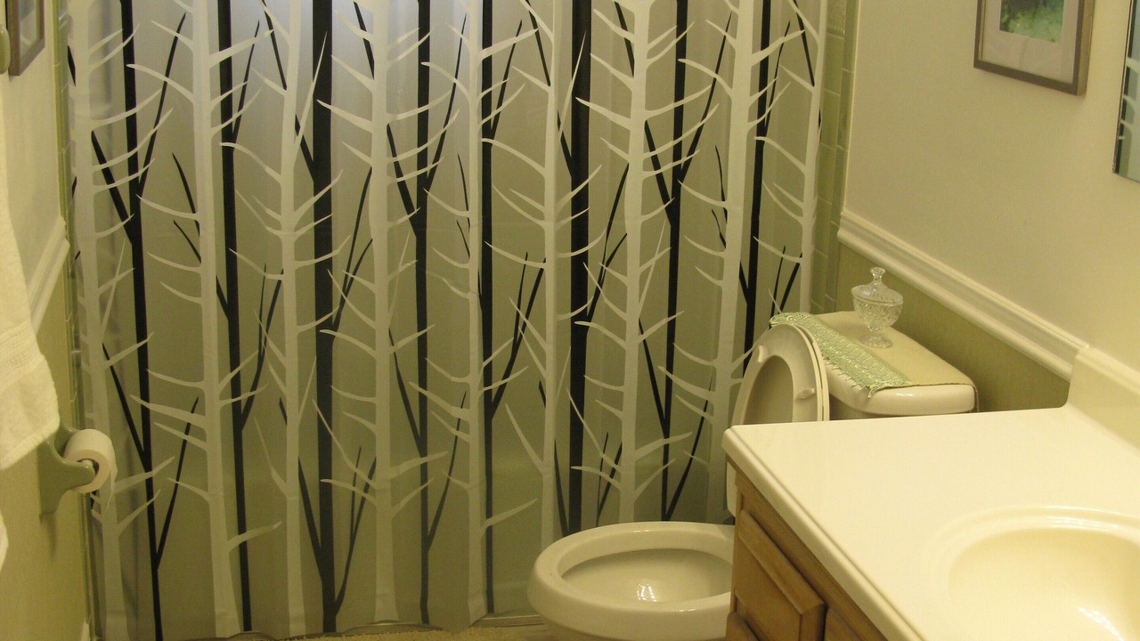 Photo of Bathroom in Lutz