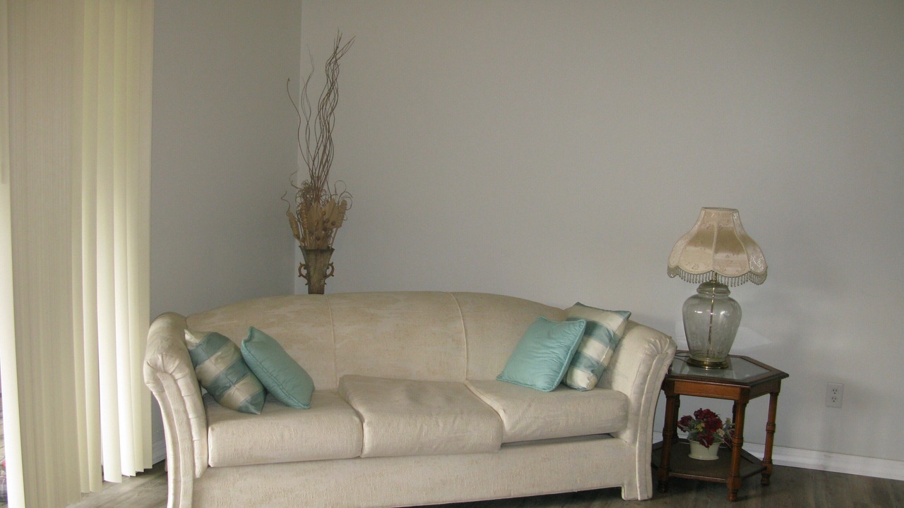 Photo of Livingroom in Lutz