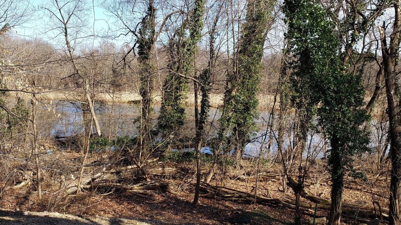 Photo of Outdoor in Maple Shade