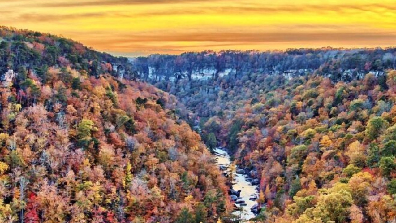 Photo of Outdoor in Cedar Bluff