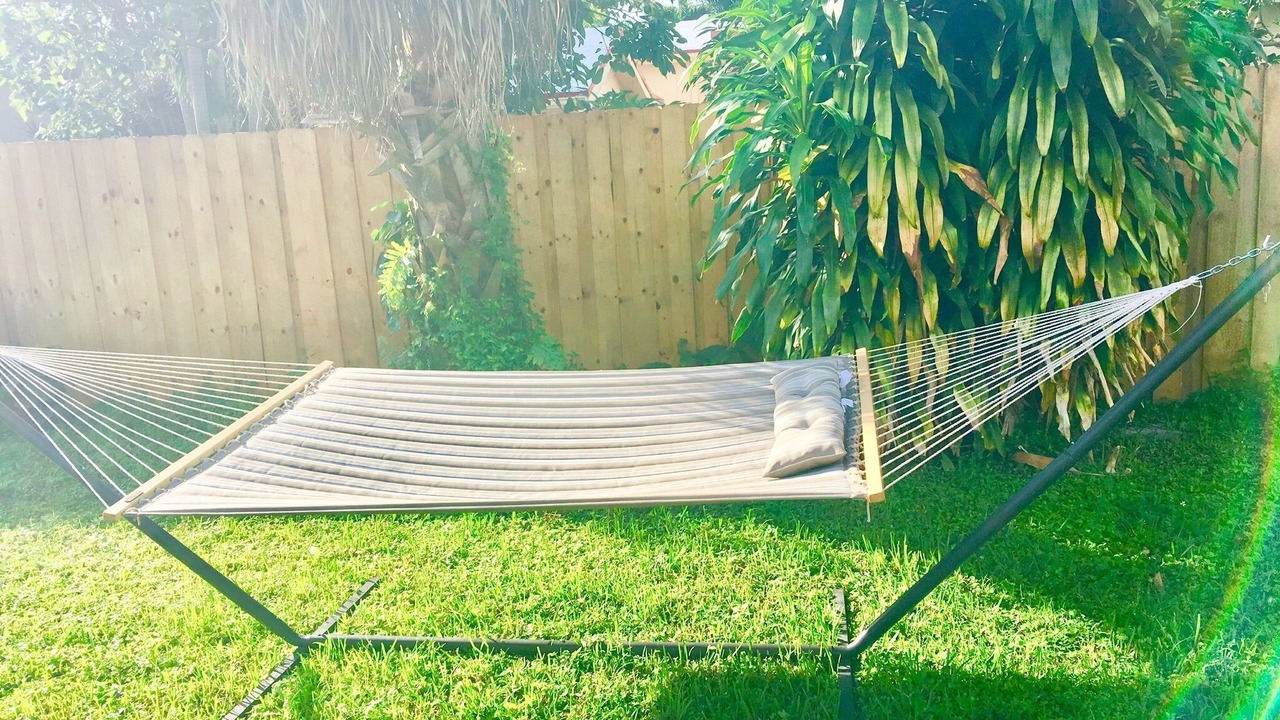 Photo of Outdoor in North Andrews Gardens