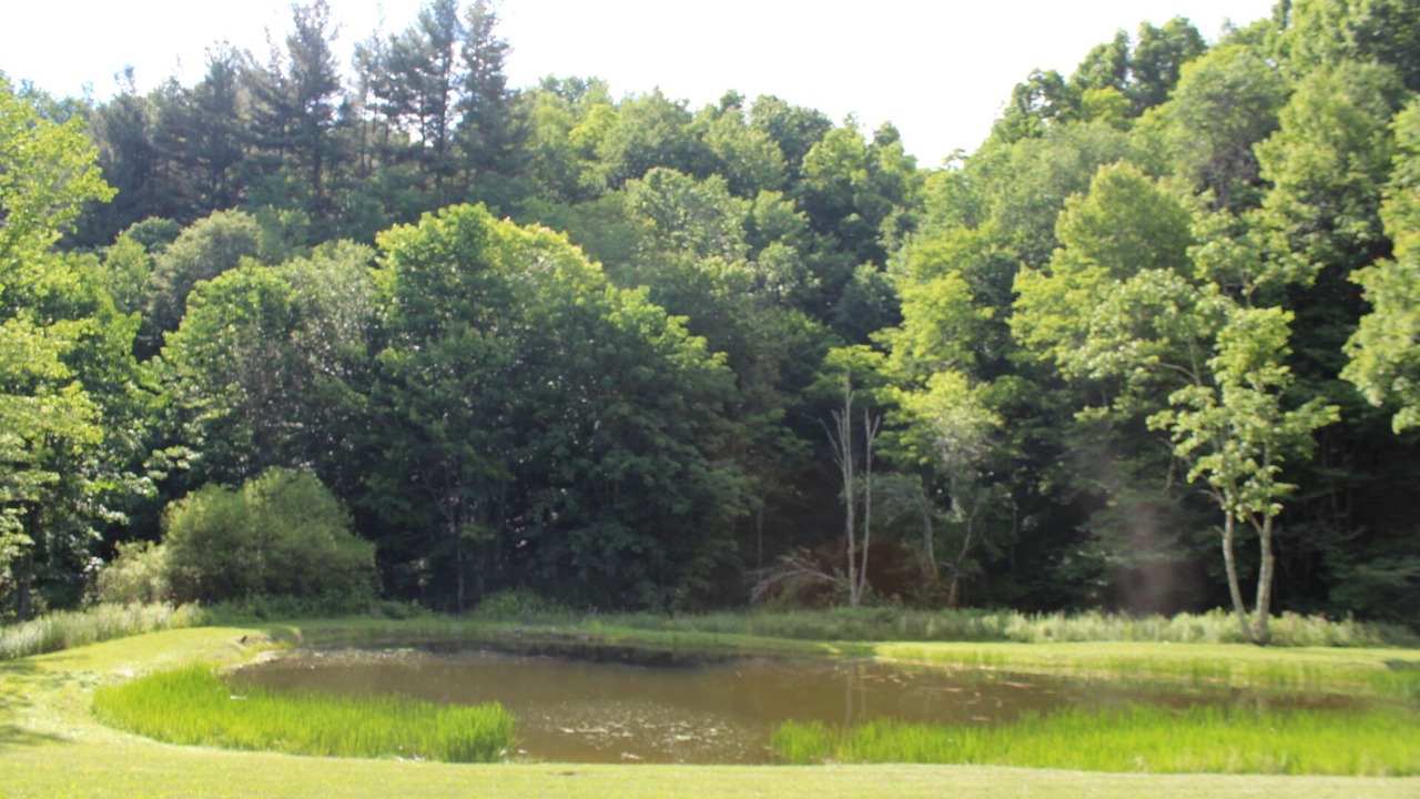 Photo of Others in Wilson Creek
