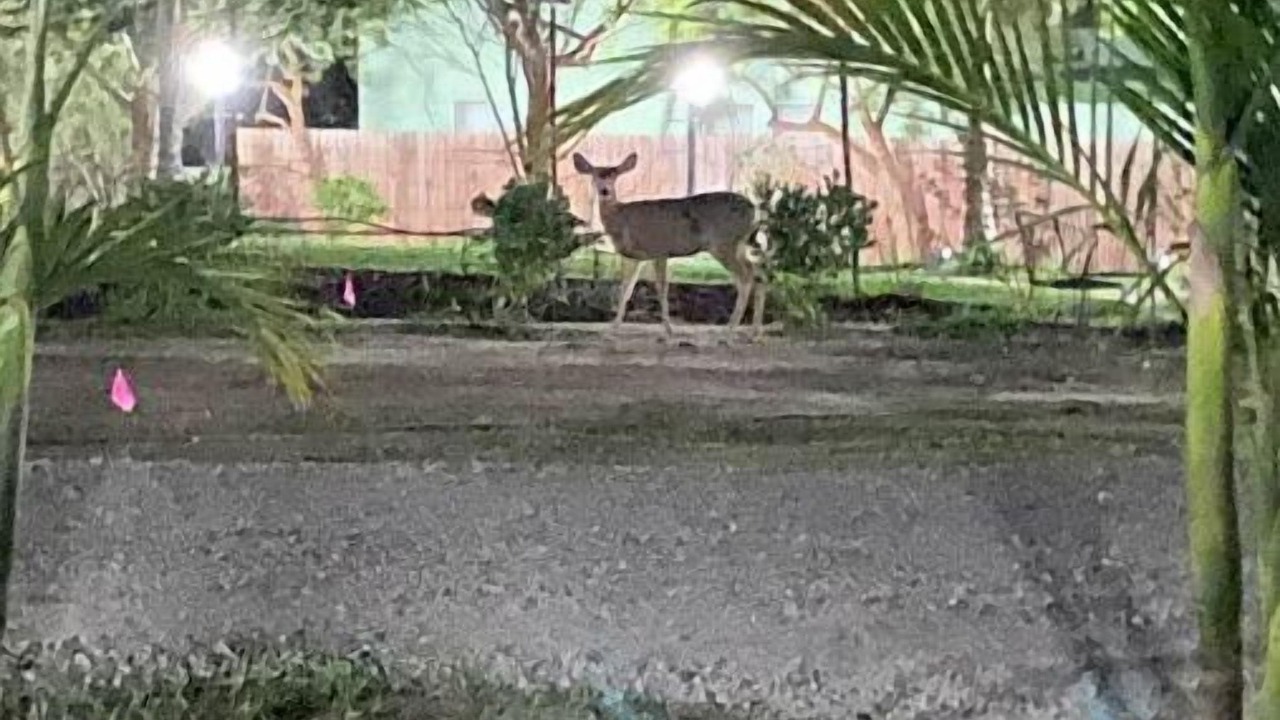 Photo of Outdoor in Callender