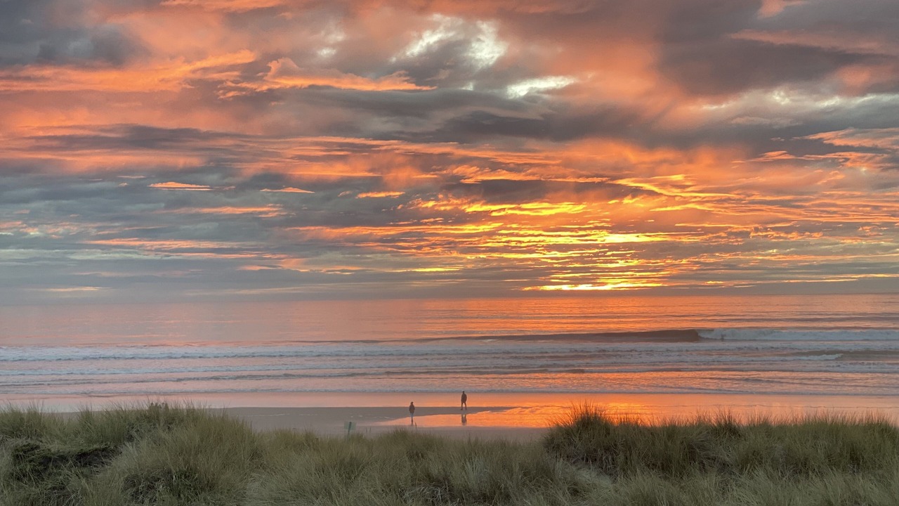 Photo of Others in Pajaro Dunes