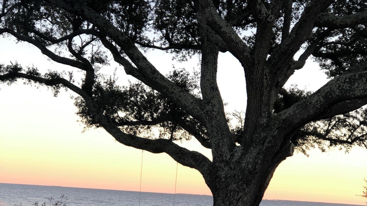 Photo of Others in Long Beach