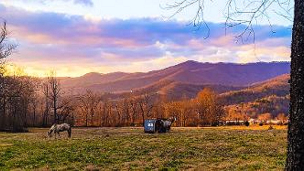 Photo of Outdoor in Andrews
