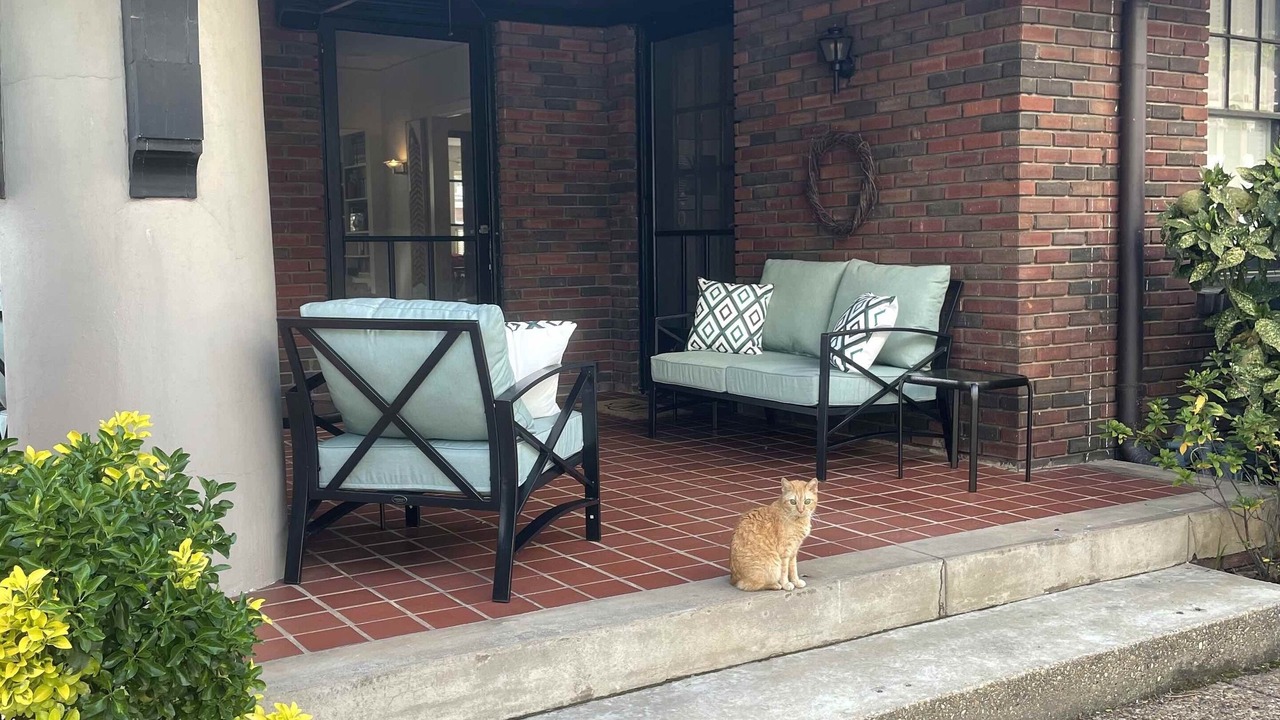 Photo of Patio Balcony in Druid City