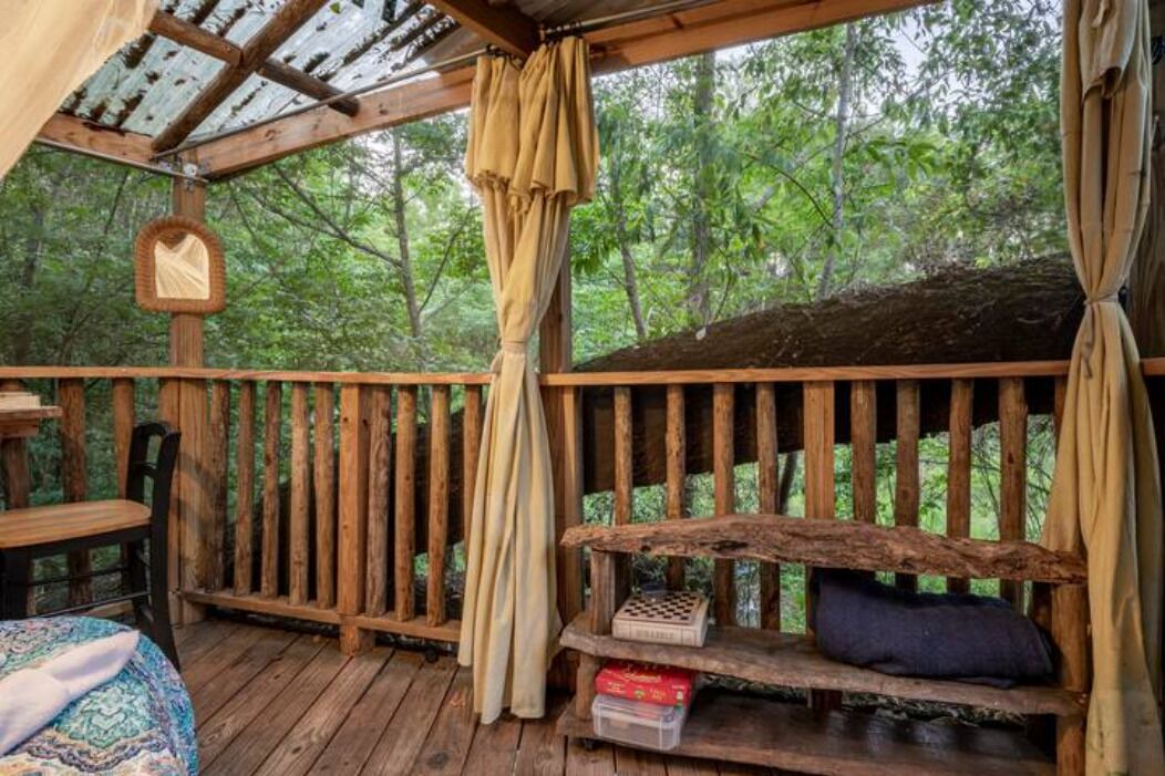 Photo of Outdoor in Live Oak