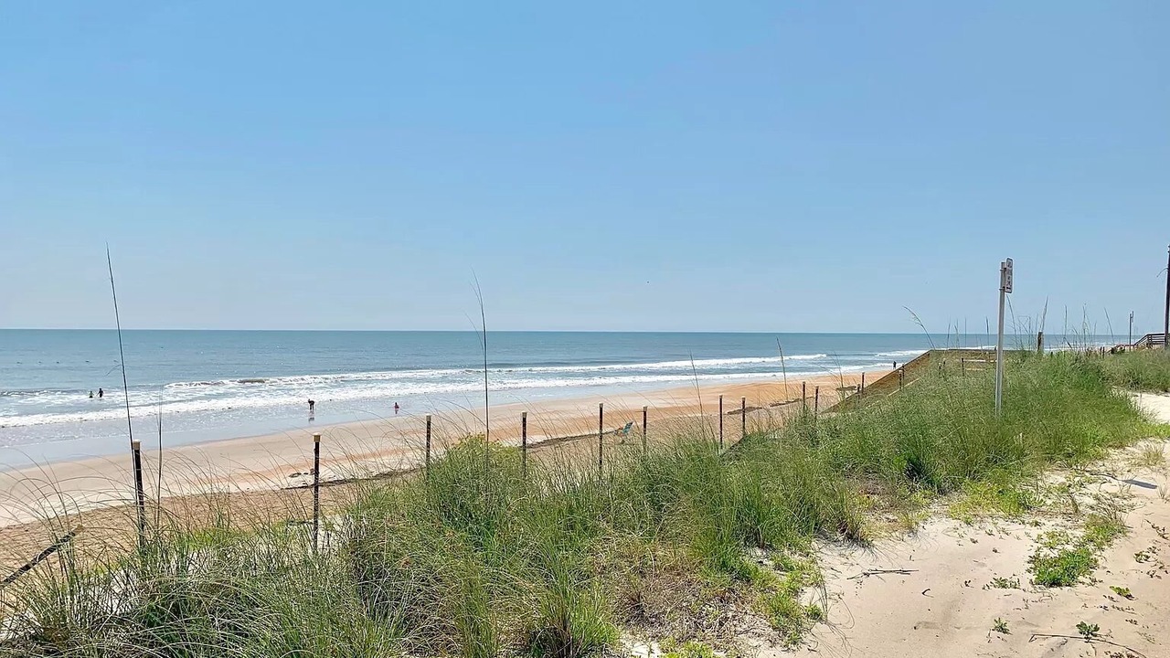 Photo of Others in Ormond-by-the-Sea